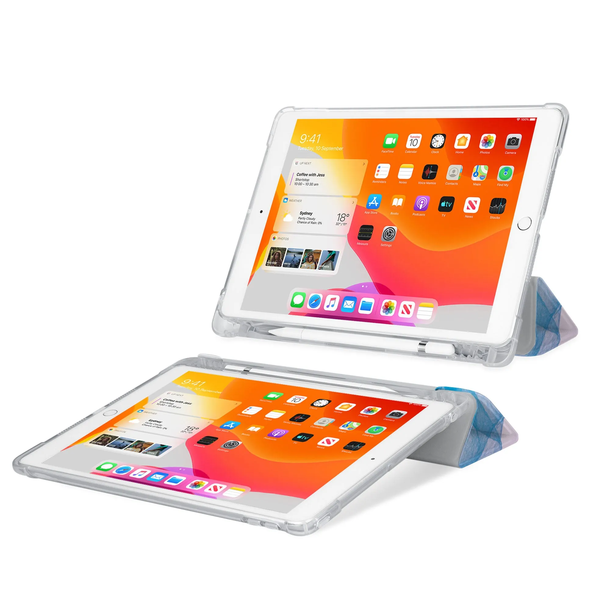 iPad SeeThru Case - Dog