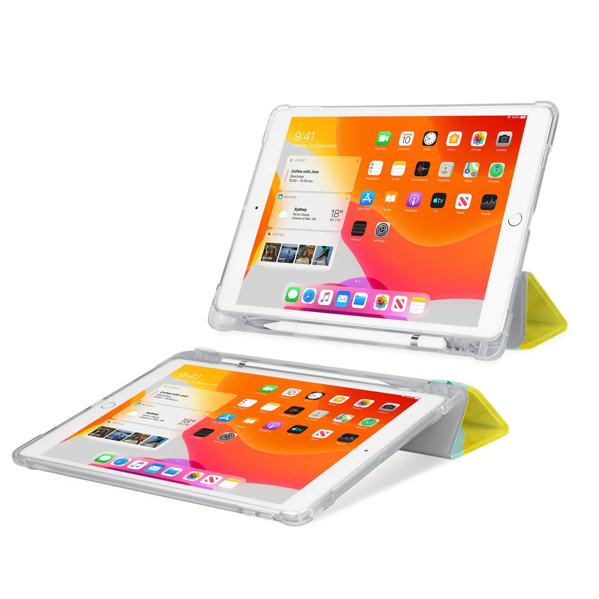 iPad SeeThru Case - Fruit