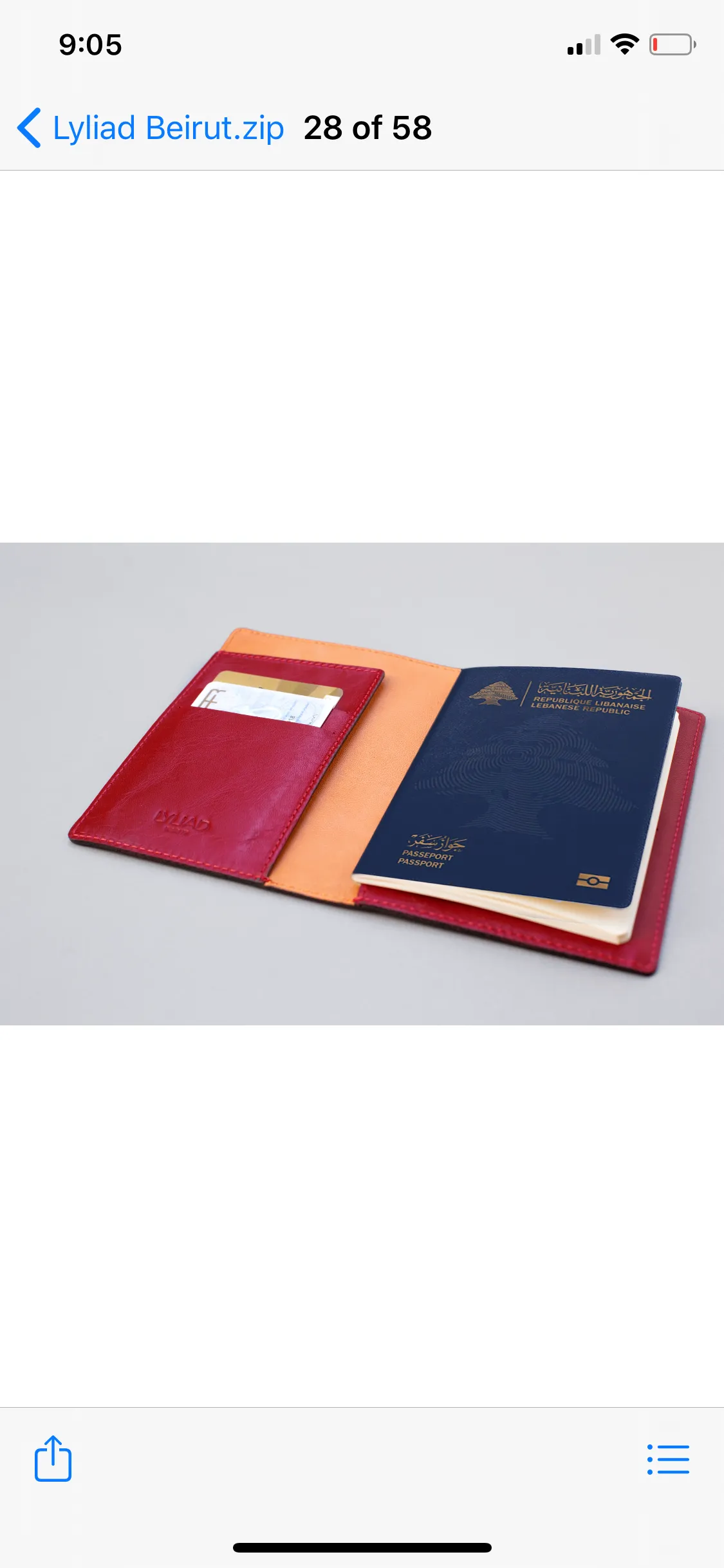 Joe Leather Passport Holder by Lyliad