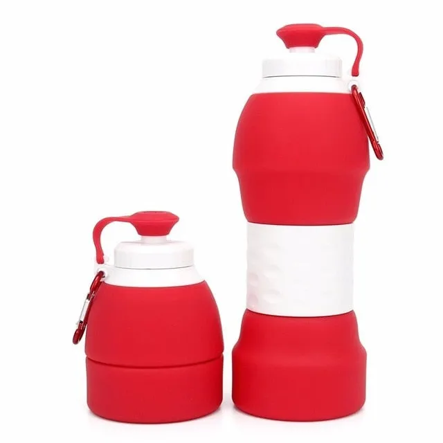 Shaker Silicone Water Bottle